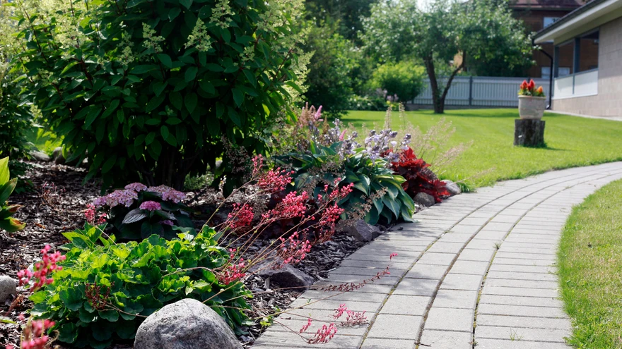 Aia esimene pilgupüüdja on kahtlemata suur ringrada, mille keskele jääb avar muruala ja servadesse ilutaimede värvikas raamistus.