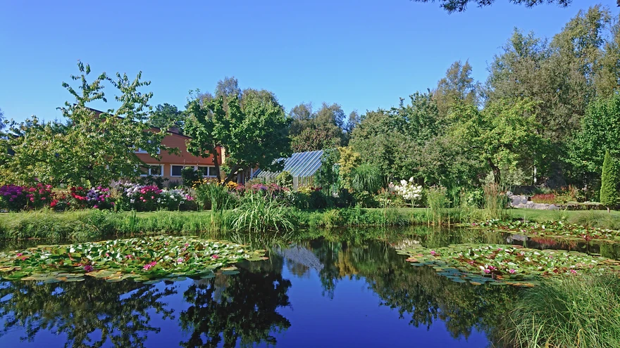 Vaade üle tiigi lilleaiale. Aia peapreemia võitnud aed Saaremaal.