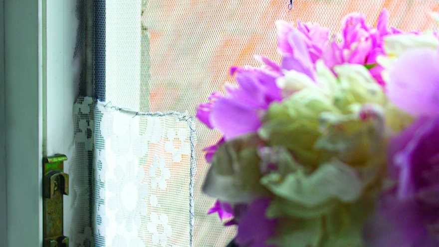 Paranda sääsevõrgus olevad augud!