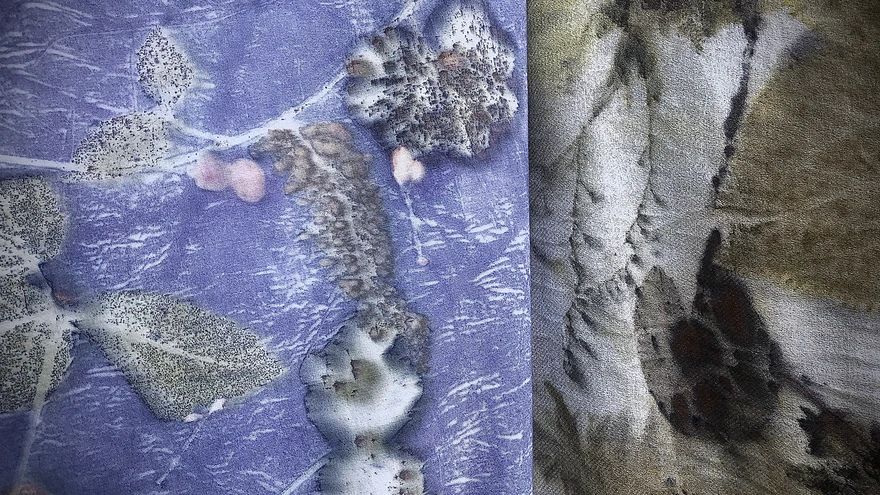 Vesiroosi ja himaalaja jalglehe kujutised villasel sallil. 