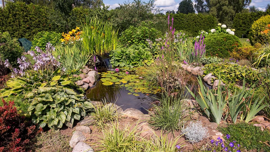 AIALAHENDUSE PREEMIA 1000-eurose kinkekaardi andis Ryobi.