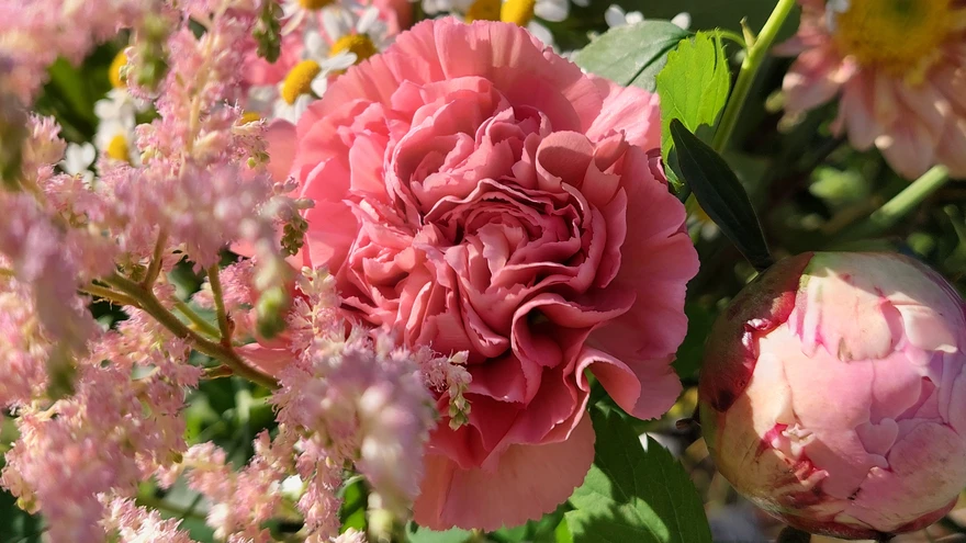 Püüame õiteilu vaasi!