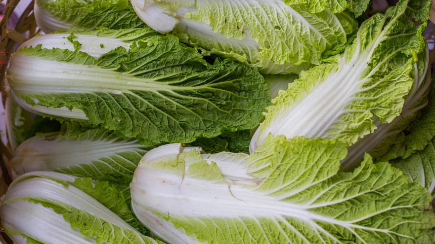 Meil on see köögivili tuntust kogunud pigem köögis kui aias, ent tema kasvatamine on siingi võimalik. 