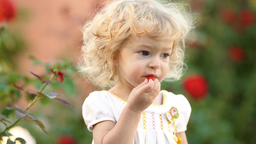 Atoopilise dermatiidiga võib kaasneda toiduallergia