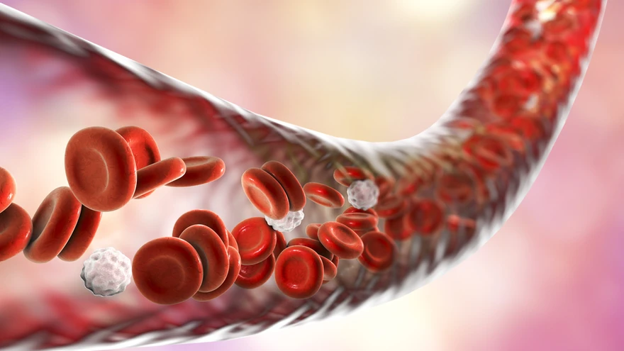 Veresoonte lupjumine algab väga vara.