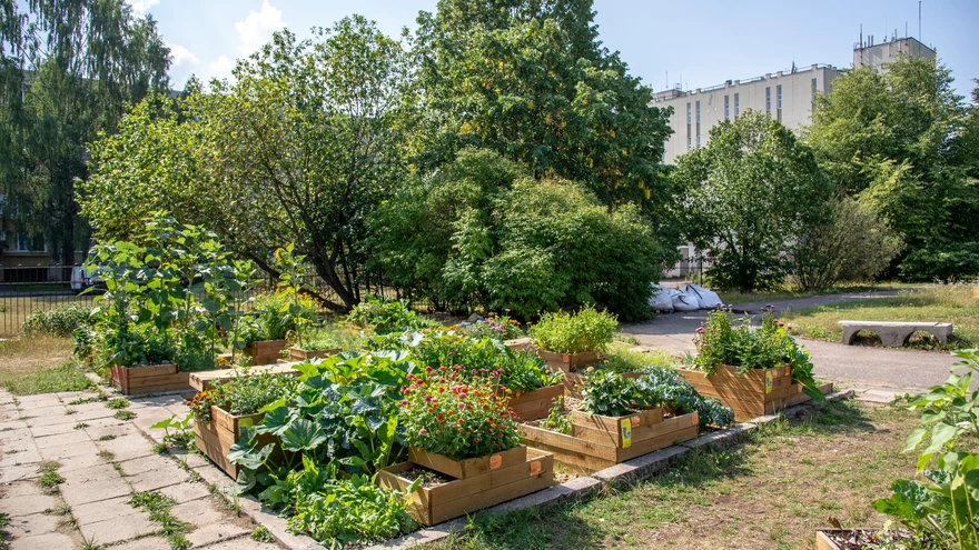 Kunagise lasteaia territooriumile rajatud kogukonnaaed.