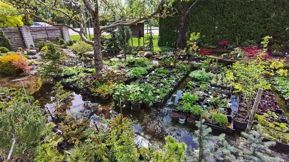 Istikuplatsi uputus.