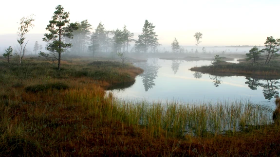 Kaunis Eesti raba oma tuntud headuses.
