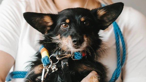 Bono: "Olen alati värve armastanud!"