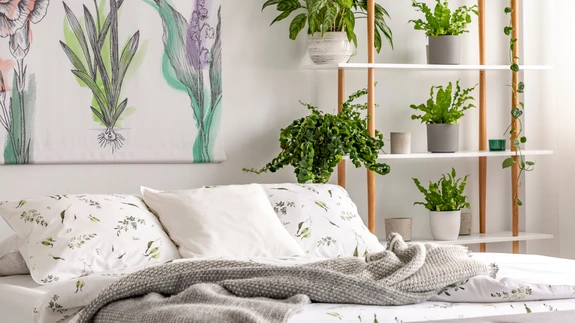 Toataimed on magamistoas esimesed tervitama ja viimased soovima head ööd, olgu nad siis imetillukesed või lausa puu mõõtu. 