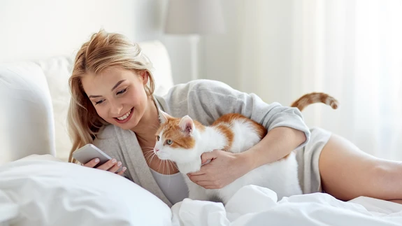 Hoolitse selle eest, et kodus oleks elu kassisõbralik